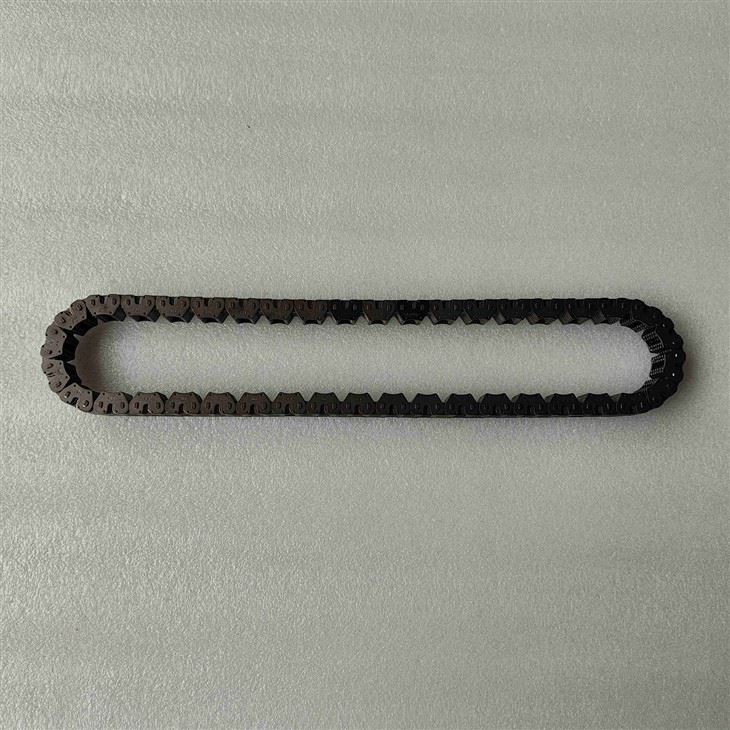8F24-CHAI01-OEM Drive Chain J1KP7G249AA Heavy Duty Transmission Chain (Not For Pump) suppliers